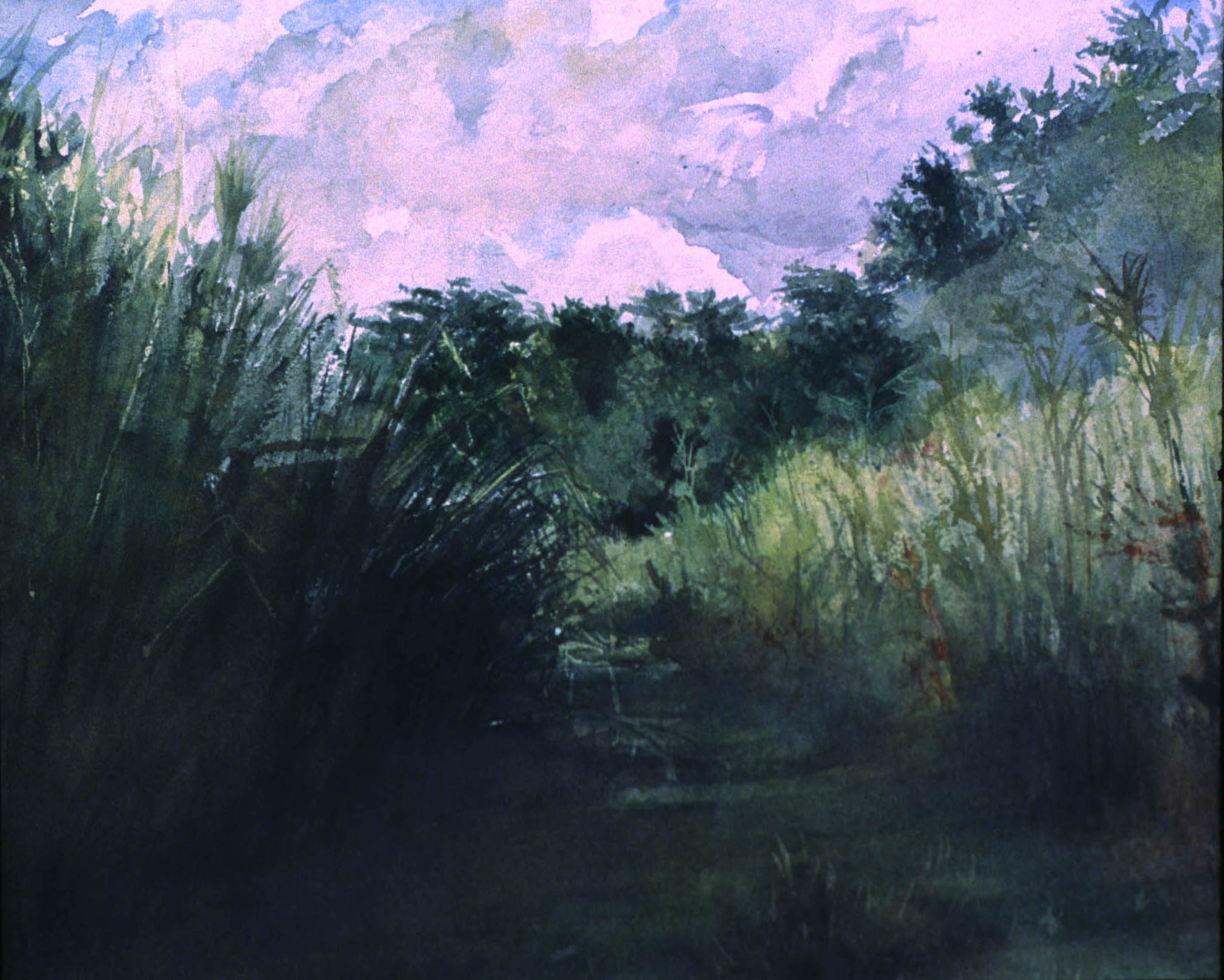 Derelict Awaiting Restaurant Conversion, Manayunck Summer Afternoon