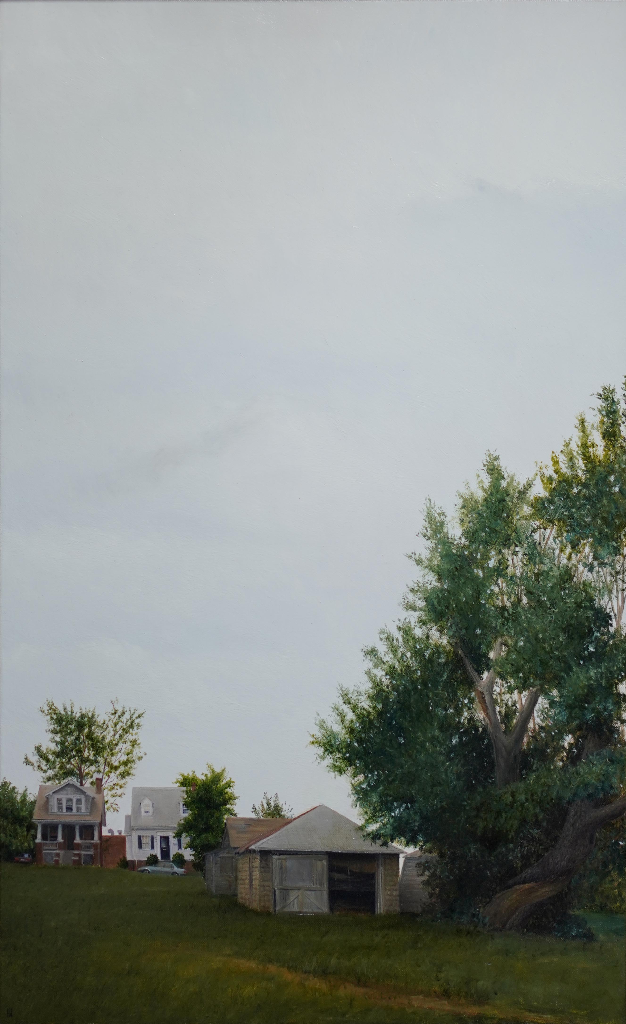 Suburban Meadow Overcast Afternoon